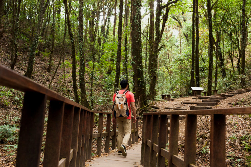 Explore Local Parks and Nature Trails