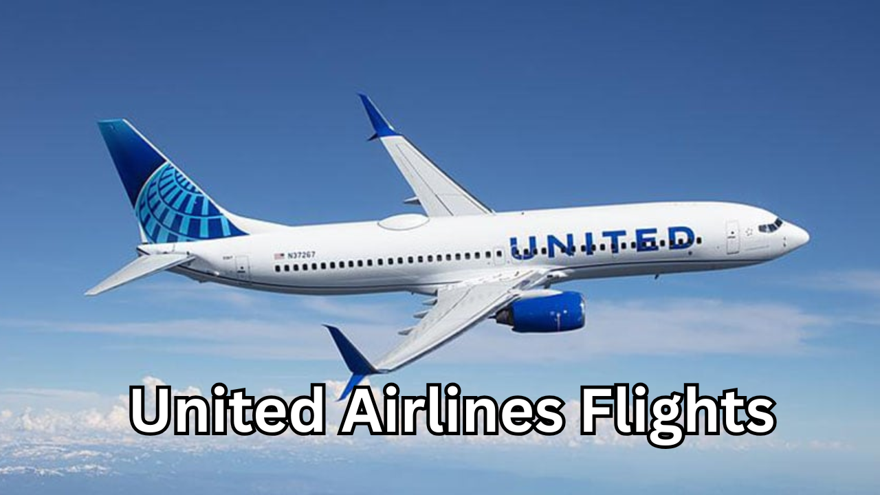 United Airlines Flights: Complete Guide to Booking, Routes, Classes, Baggage, and Travel Experience
