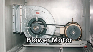Blower Motor Reliability: A Powerful Guide to Lasting Performance