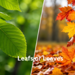 Leafs or Leaves: What’s the Difference and Which One Is Correct?