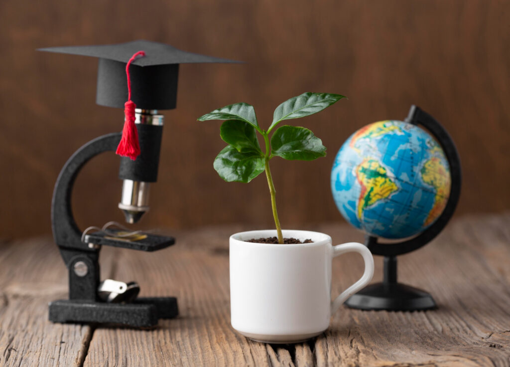 Education and Personal Development